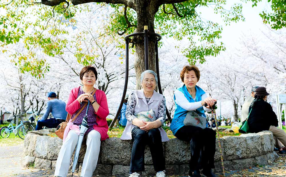 自由行 老人家 休息 輪椅 日本