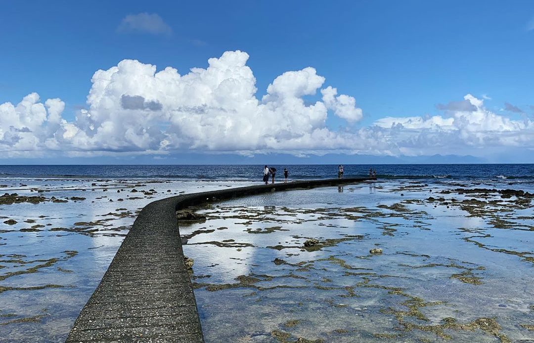 漫步柴口沙灘潛水步道，近距離觀賞海藻、海膽、海星等潮間帶生物。