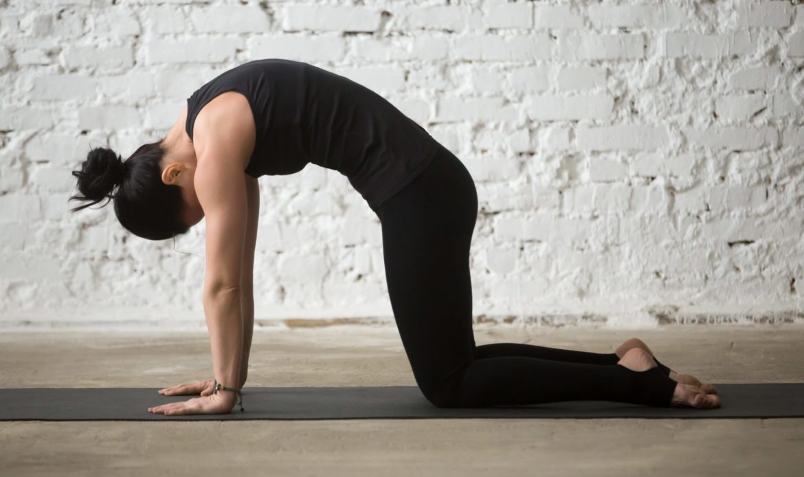 Cat Pose là một hành động phổ biến hơn của người mới tập yoga để điều chỉnh hơi thở.