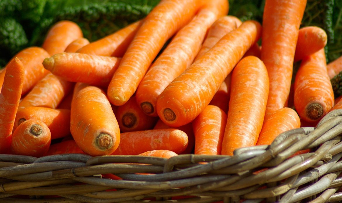 Cà rốt, tủ đông, trái cây và rau quả tươi trong thời hạn sử dụng.