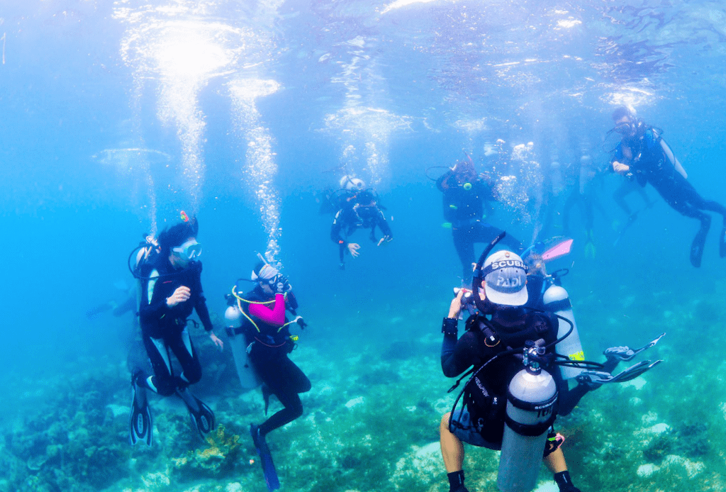 只要上畢整個菲律賓潛水課程就能獲得PADI開放水域潛水員資格，全程只需5天！