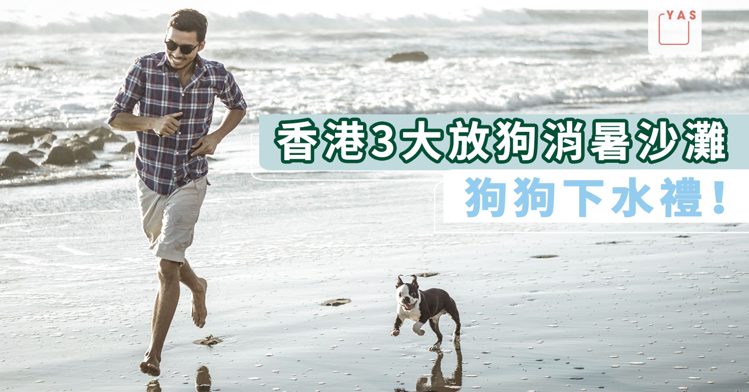 【狗狗好去處】狗狗下水禮!香港3大放狗消暑沙灘