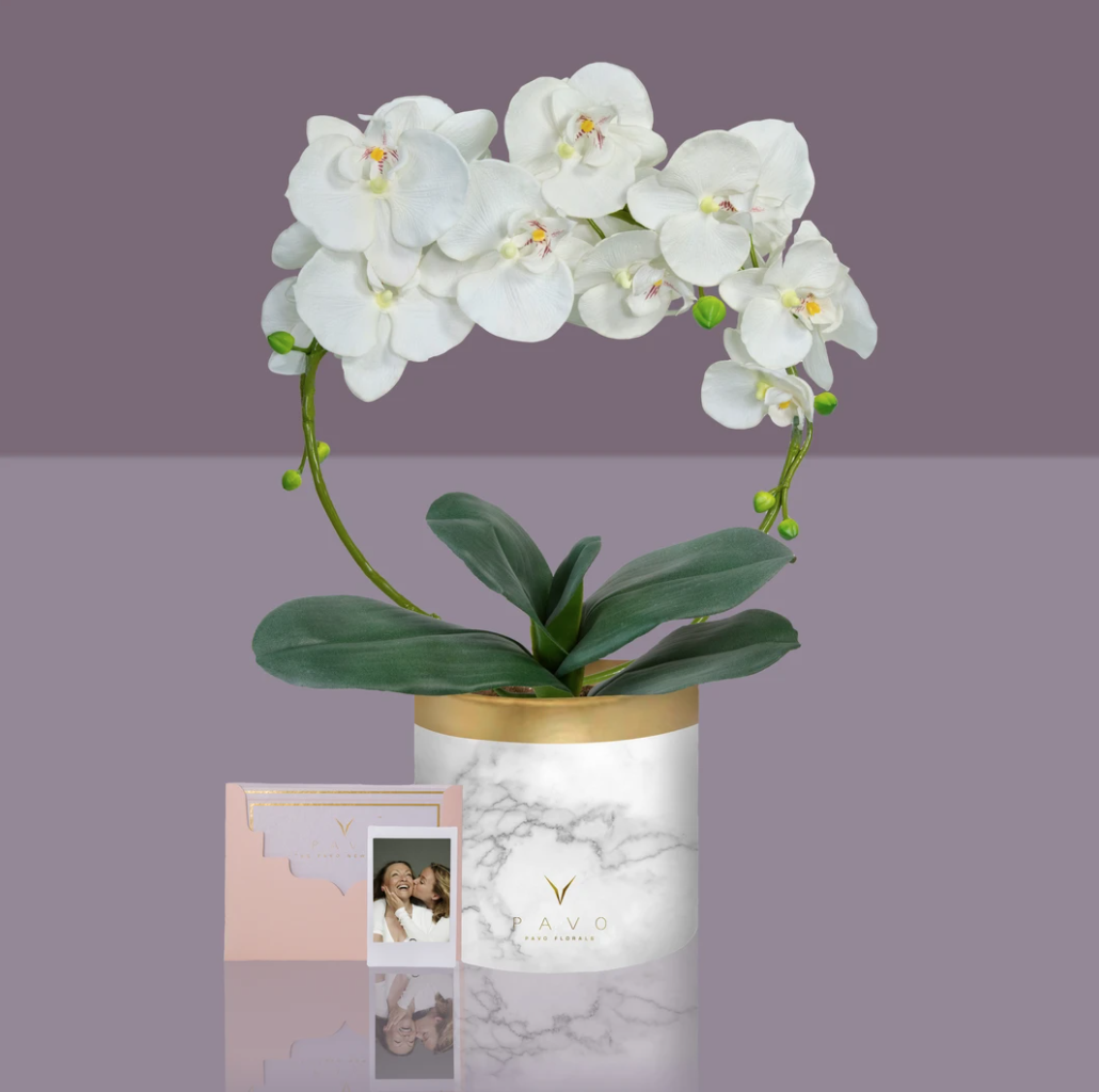 2020 母親節禮物 Pavo Florals