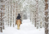 【北海道騎馬】雪中騎馬漫步 北海道獨有騎馬體驗