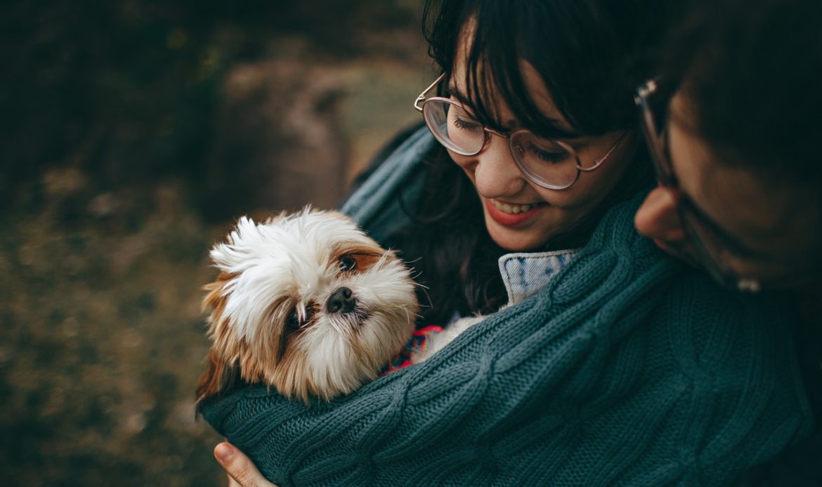 How do Dogs Recognize Their Owners 