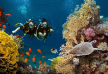 【宿霧潛水】宿霧潛水行程推薦 一文精通菲律賓潛水勝地!