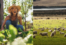 Working Holiday去邊好?澳紐英日韓大不同——詳盡比較多地文化、申請資格、須知