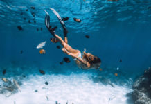 【沙巴潛水推薦】潛友必到海底勝地 超近距離接觸珊瑚礁