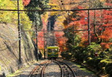 東京高尾山登山介紹!日本人氣最高山峰