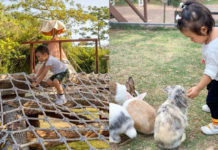 周末帶小朋友放電必讀!精選13大親子好去處:一家大細郊遊、室內遊樂場!