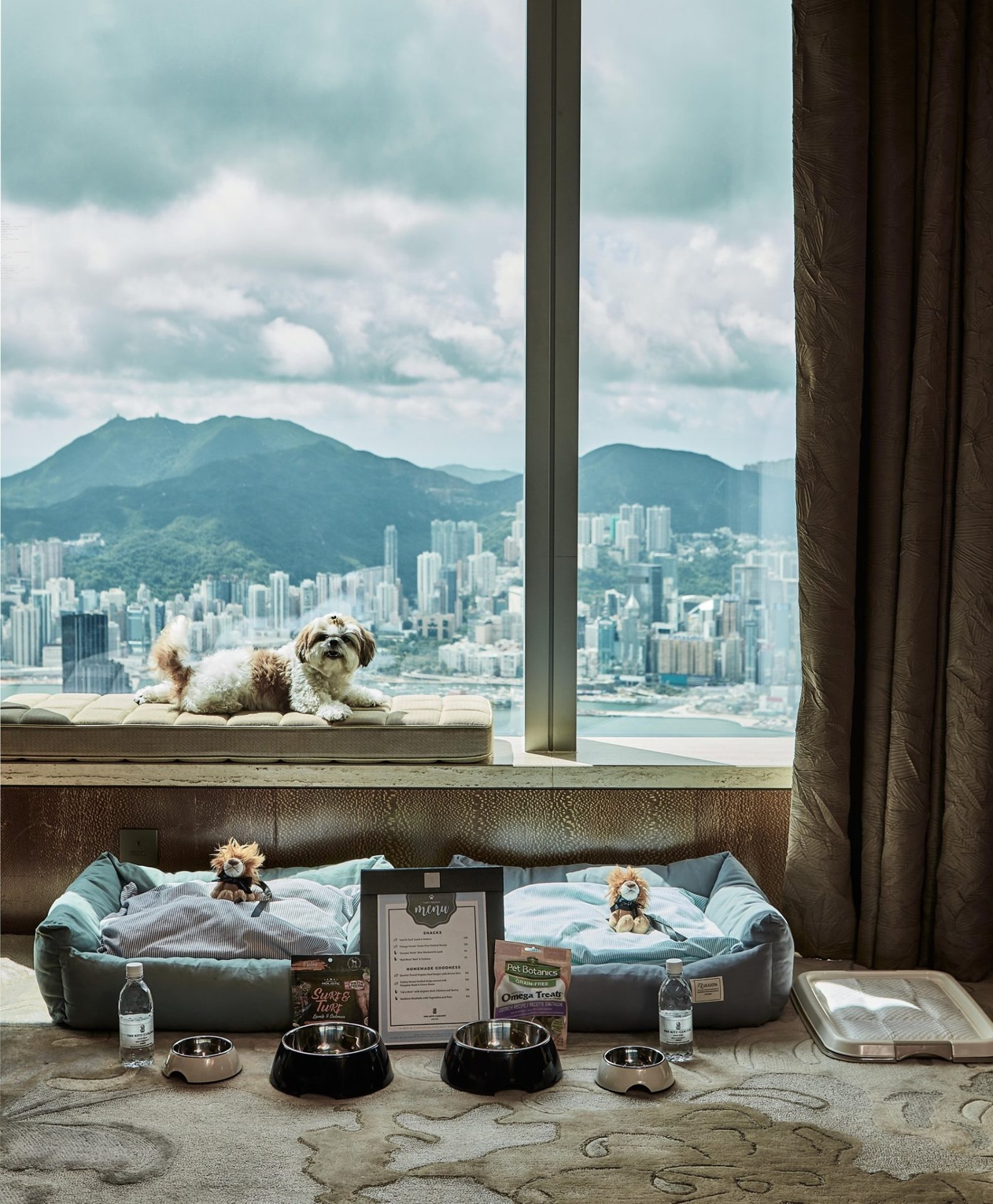 寵物Staycation 寵物酒店 狗酒店 寵物友善酒店
香港麗思卡爾頓酒店（The Ritz-Carlton, Hong Kong）首次推出讓寵物Staycation住宿體驗