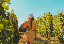 Working Holiday 搵工貼士!分清黑工、白工、灰工 小心工作假期求職陷阱! 工作假期 灰工 黑工 白工