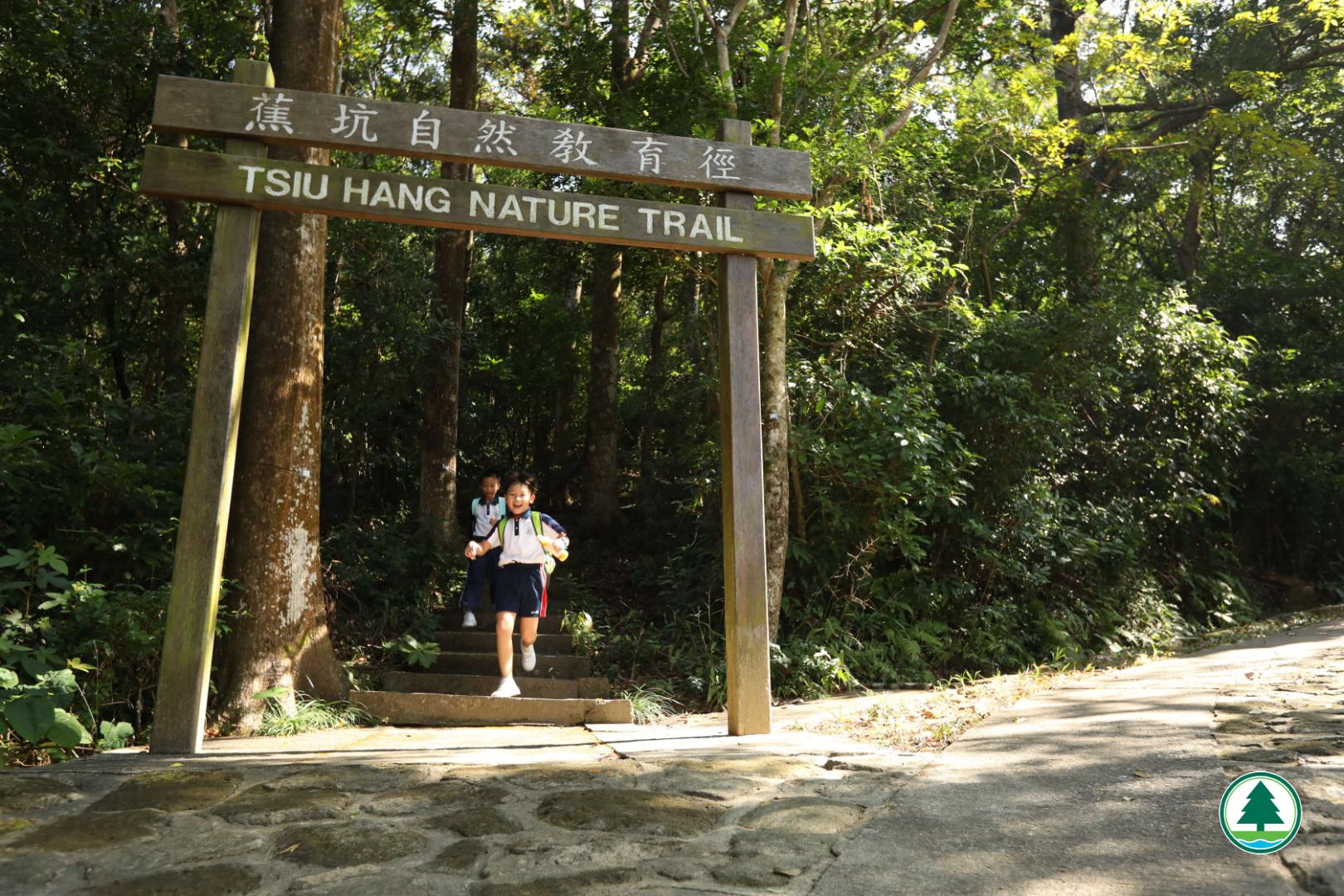 Amp up your adventure by traveling to Sai Kung and explore the Tsui Hang Nature Trail. This is a short and eventful yet relatively undiscovered trail.
